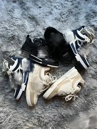 Lv Skates