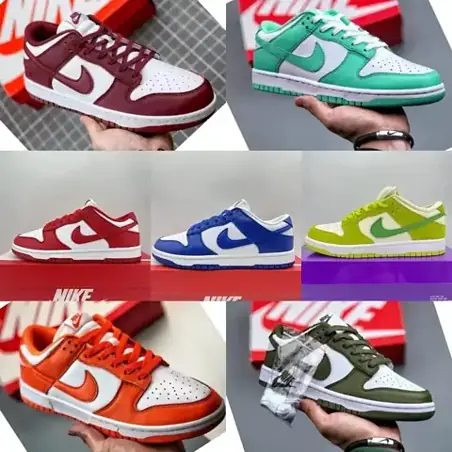 Nike Dunk Sneakers